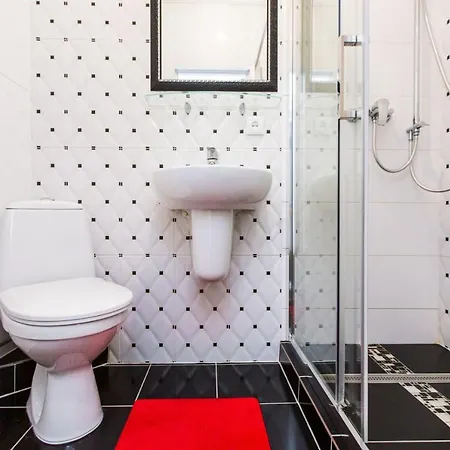 Apartment однокомнатная форум-центр *